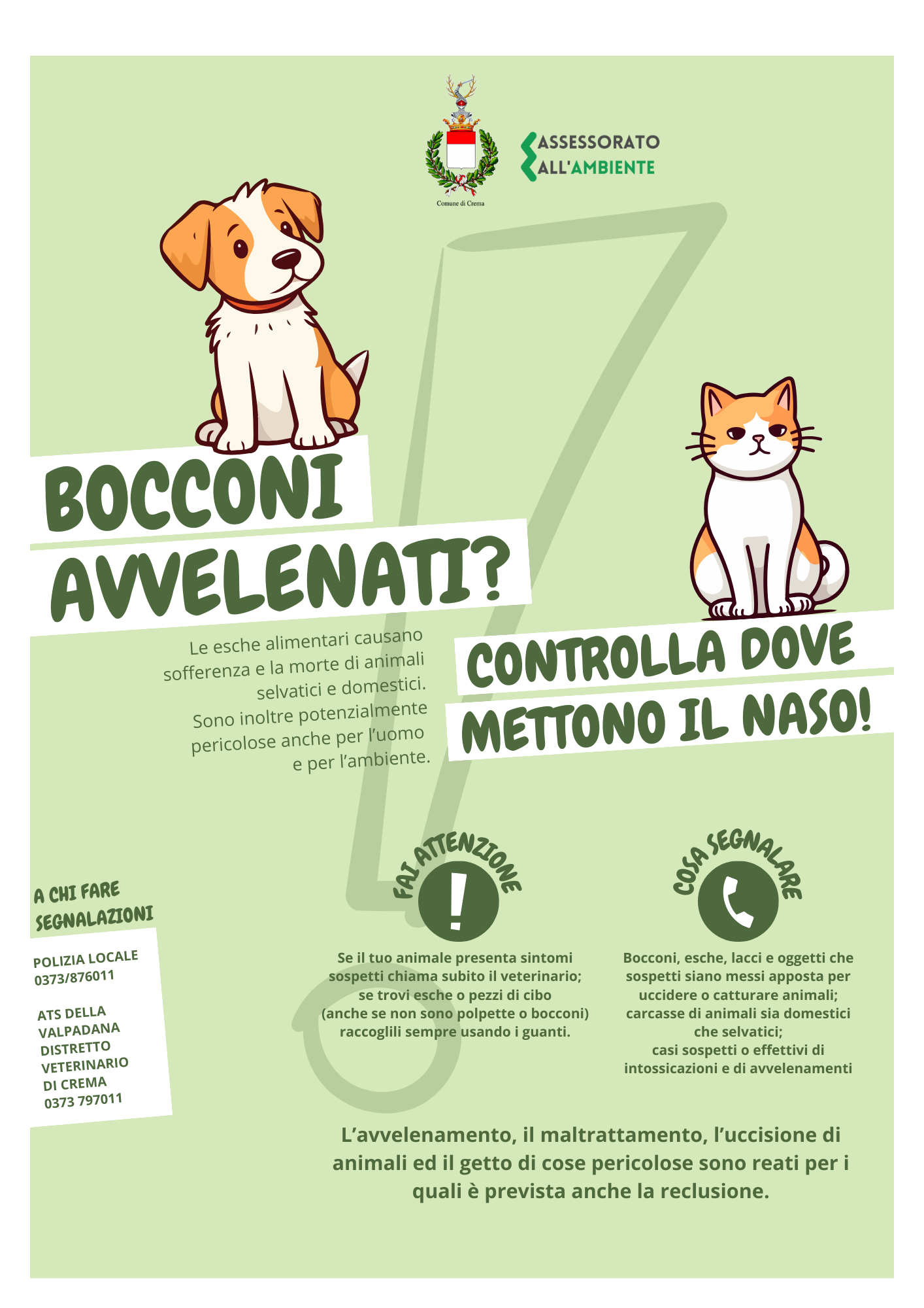 Lotta ai bocconi avvelenati, al via la nuova campagna di sensibilizzazione