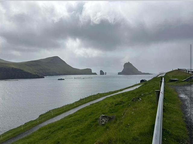 Grandioso al ristorante Kandoo di Cremona: il Salmone sarà solo delle Isole Faroe